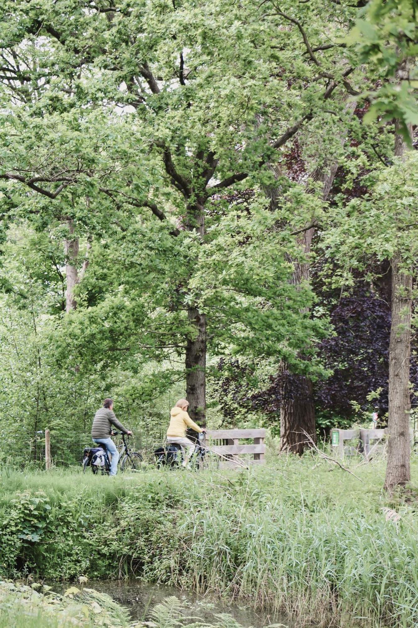 Zoomers Aan Het Bos Castricum Exterior foto